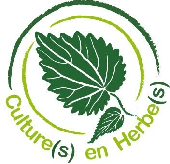 Culture en herbe