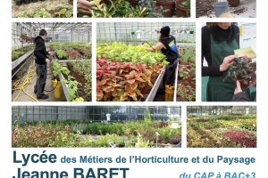Vente de plantes lycée horticole 2024
